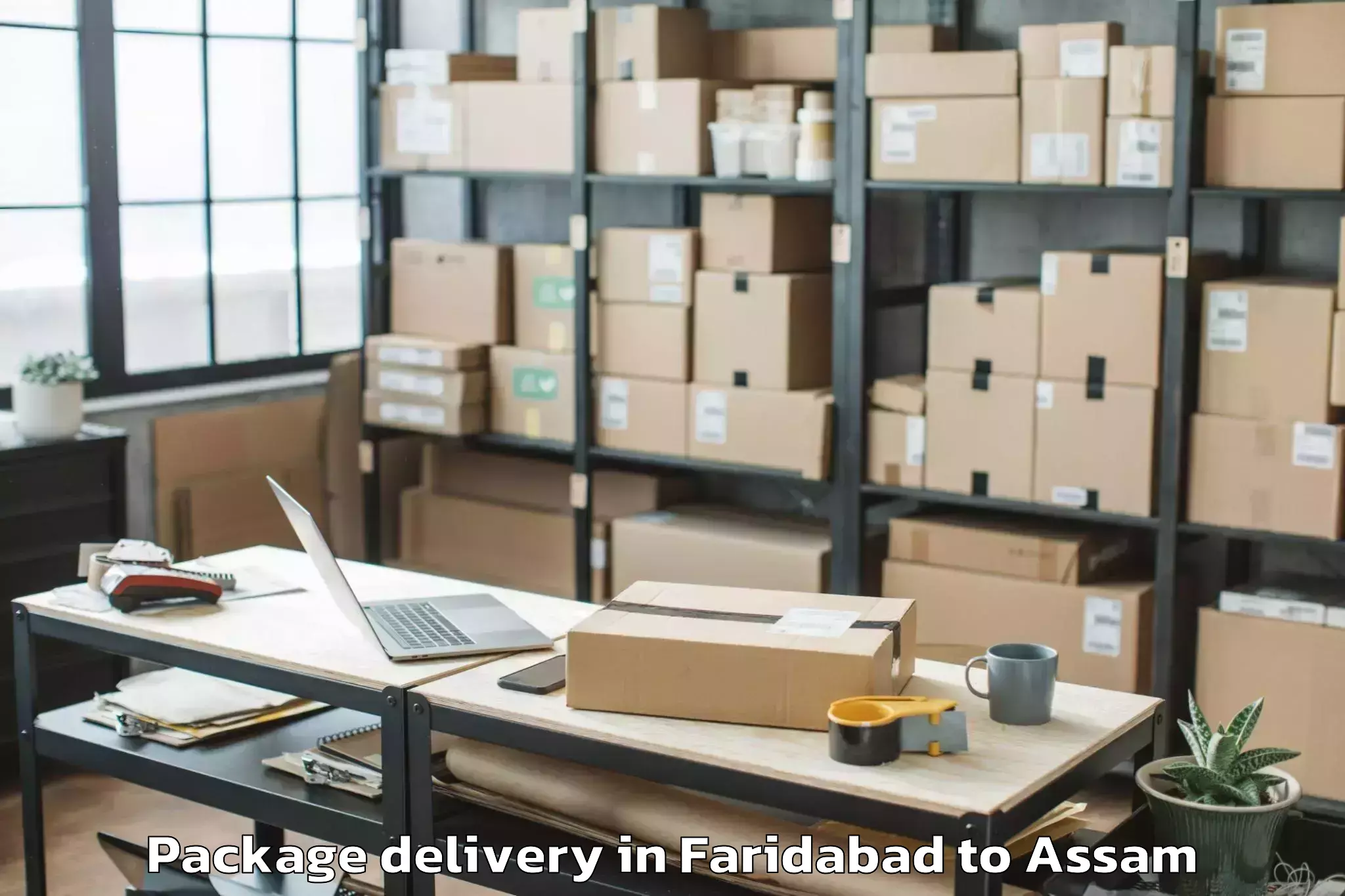 Professional Faridabad to Howraghat Package Delivery